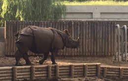 動物園