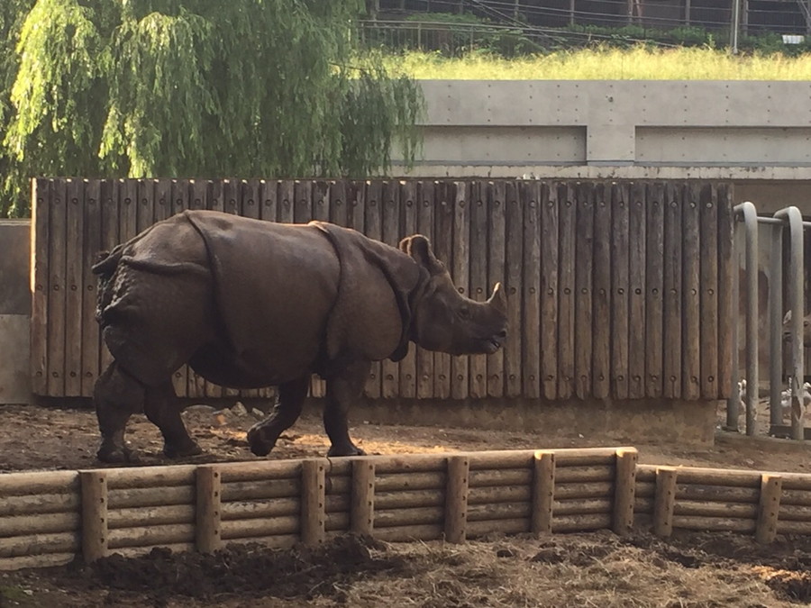 動物園